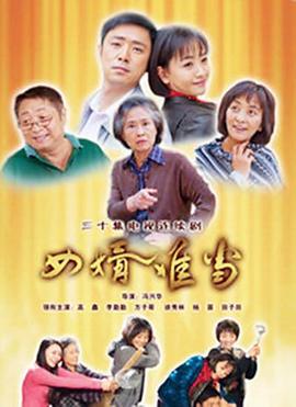 女婿难当 (2010)海报