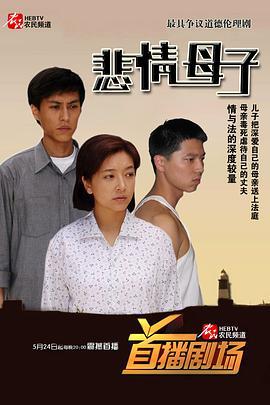悲情母子 (2006)海报
