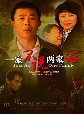 一家不说两家话 (2010)海报