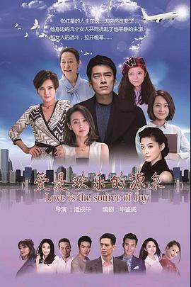 爱是欢乐的源泉 (2017)海报