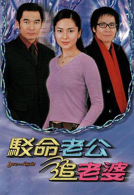 驳命老公追老婆 (2004)海报