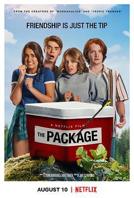 我的宝贝在哪里 The Package (2018)海报