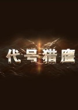 代号猎鹰 (2018)海报