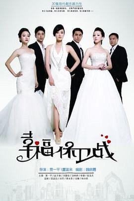 幸福保卫战 (2013)海报