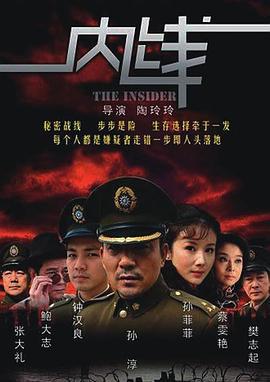 内线 (2009)海报