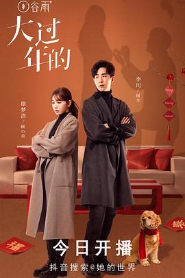 大过年的 (2024)海报