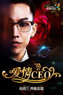 爱情CEO (2015)海报