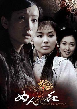 女人花 (2007)海报
