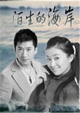 陌生的海岸 (1994)海报