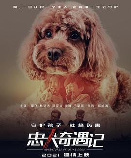 忠犬奇遇记 (2021)海报