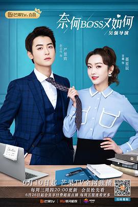 奈何BOSS又如何 (2020)海报