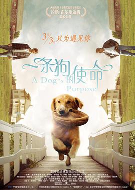 一条狗的使命 A Dog's Purpose (2017)海报