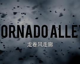 龙卷风走廊 第二季 Tornado Alley Season 2 (2015)海报