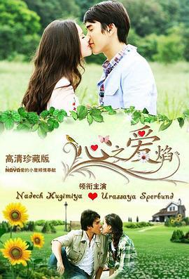 心之爱焰 ดวงใจอัคนี (2010)海报