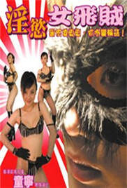 淫欲女飞贼海报
