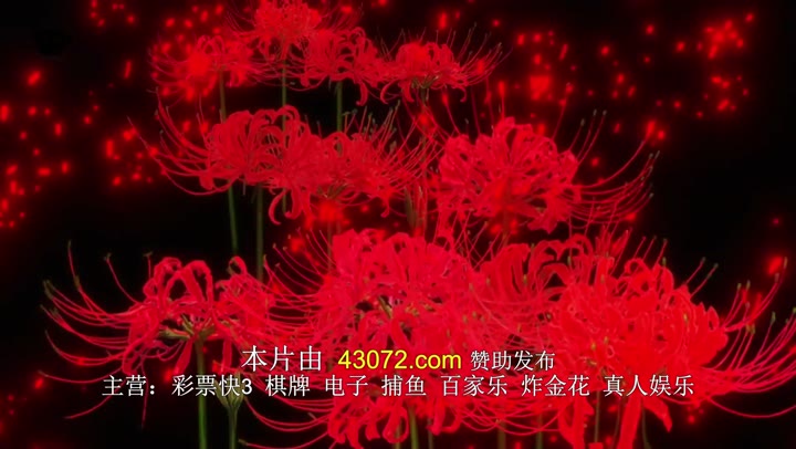 忍者乱太郎剧场版：毒竹忍者队最强的军师 劇場版 忍たま乱太郎 ドクタケ忍者隊最強の軍師 (2024) gao_qing_ban海报