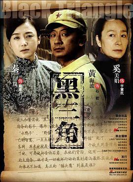 黑三角 (2008)海报