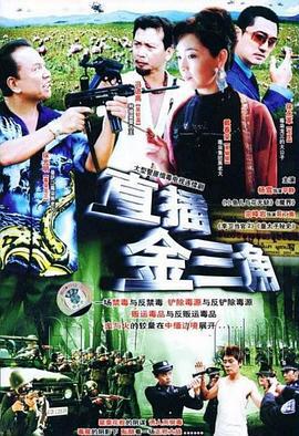 直插金三角 (2009)海报
