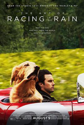 我在雨中等你 The Art of Racing in the Rain (2019)海报