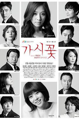荆棘花 가시꽃 (2013)海报