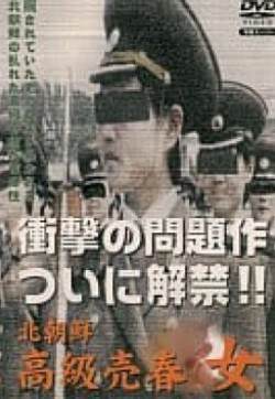 北朝鲜高级売春女海报
