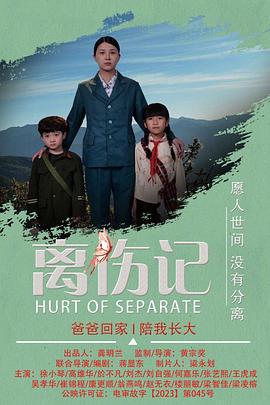 离伤记 (2024)海报