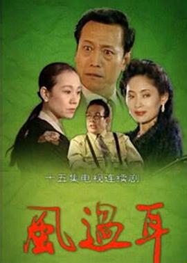 风过耳 (1994)海报