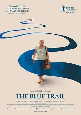 天空的另一面 O Último Azul (2025)海报
