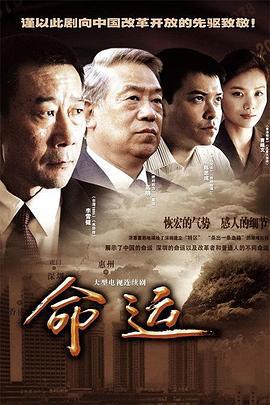 命运 (2010)海报