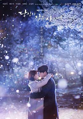 当你沉睡时 당신이 잠든 사이에 (2017)海报