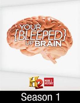 短路的大脑 第一季 your bleeped up brain Season 1 (2013)海报