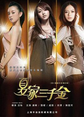 夏家三千金 (2011)海报