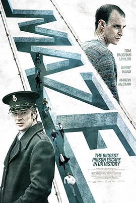 迷宫 Maze (2017)海报