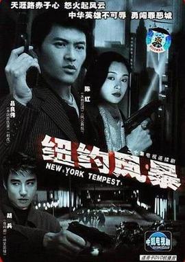 纽约风暴 (1996)海报