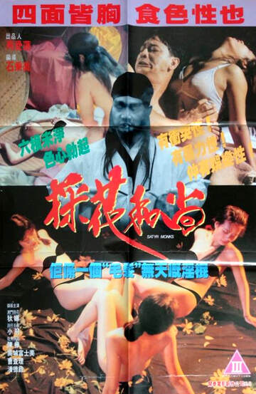採花和尚海报