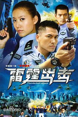 要案组雷霆出击 (2008)海报