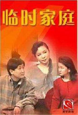 临时家庭 (1996)海报