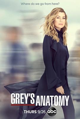 实习医生格蕾 第十六季 Grey's Anatomy Season 16 (2019)海报