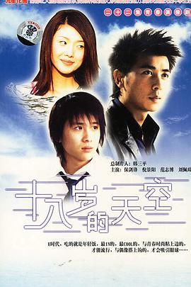 十八岁的天空 (2002)海报