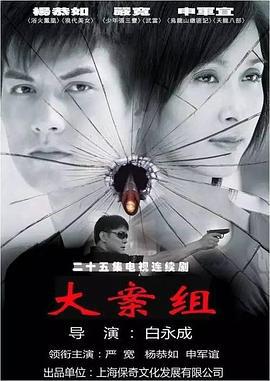 大案组 (2008)海报