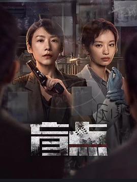 盲点 (2025)海报
