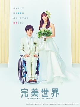 完美的世界 パーフェクトワールド (2019)海报