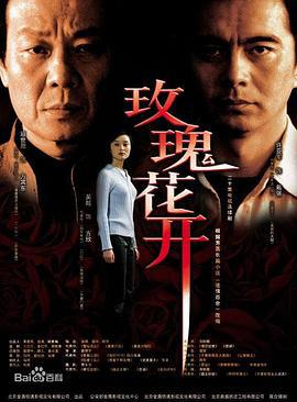 玫瑰花开 (2004)海报