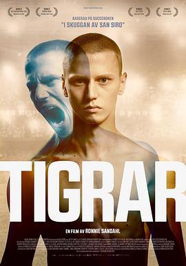 虎 Tigrar (2020)海报
