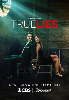 真实的谎言 True Lies (2023)海报
