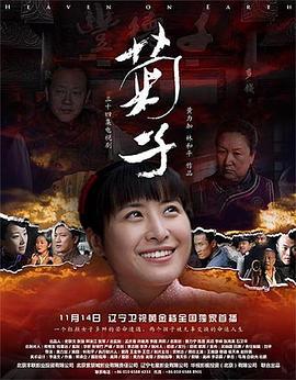 菊子 (2011)海报