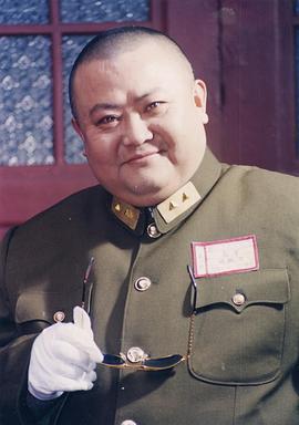 傻儿军长 (1994)海报