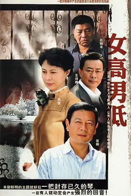 女高男低 (2008)海报