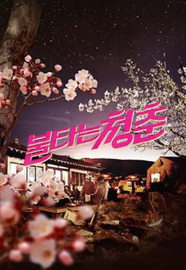 燃烧的青春 불타는 청춘 (2015)海报