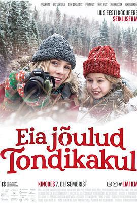 猫头鹰之森 Eia jõulud Tondikakul (2018)海报